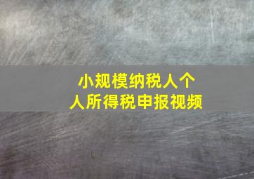 小规模纳税人个人所得税申报视频