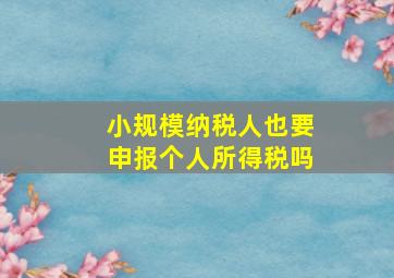 小规模纳税人也要申报个人所得税吗