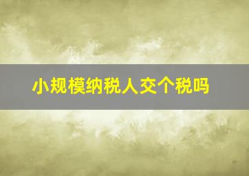 小规模纳税人交个税吗