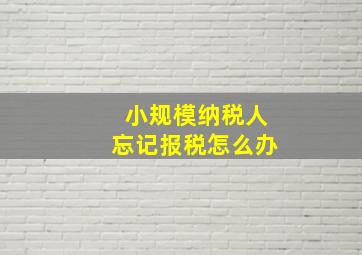 小规模纳税人忘记报税怎么办