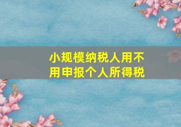 小规模纳税人用不用申报个人所得税