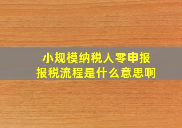 小规模纳税人零申报报税流程是什么意思啊