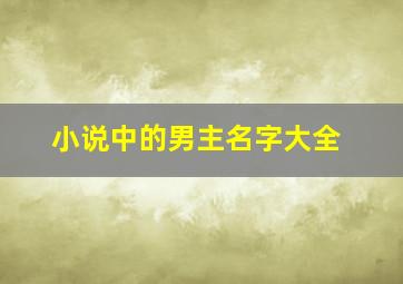 小说中的男主名字大全