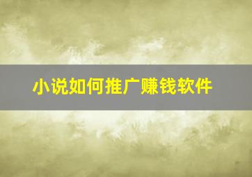 小说如何推广赚钱软件