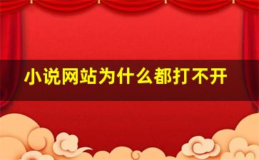 小说网站为什么都打不开