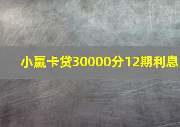 小赢卡贷30000分12期利息