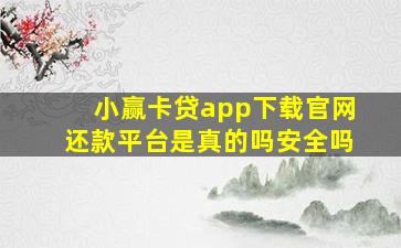 小赢卡贷app下载官网还款平台是真的吗安全吗