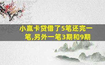 小赢卡贷借了5笔还完一笔,另外一笔3期和9期