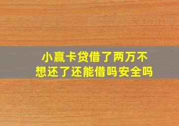 小赢卡贷借了两万不想还了还能借吗安全吗