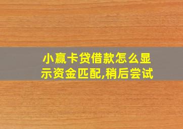 小赢卡贷借款怎么显示资金匹配,稍后尝试