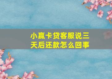 小赢卡贷客服说三天后还款怎么回事