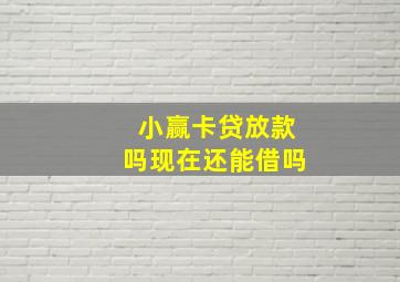 小赢卡贷放款吗现在还能借吗