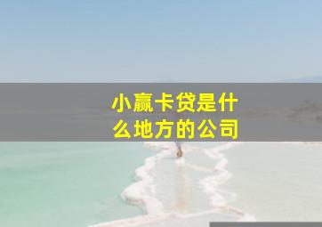 小赢卡贷是什么地方的公司