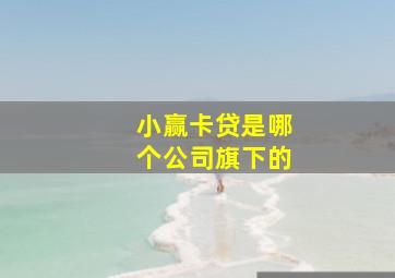 小赢卡贷是哪个公司旗下的