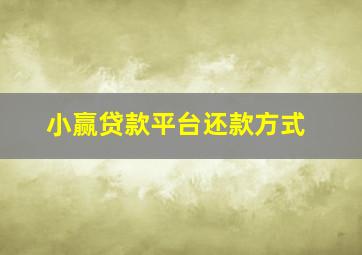 小赢贷款平台还款方式