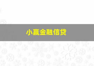 小赢金融信贷