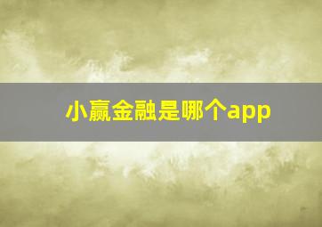 小赢金融是哪个app