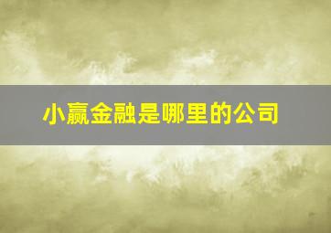 小赢金融是哪里的公司