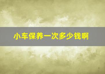 小车保养一次多少钱啊