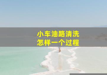 小车油路清洗怎样一个过程