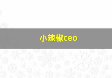 小辣椒ceo