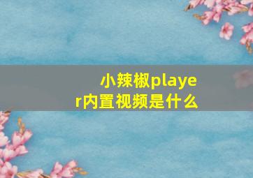 小辣椒player内置视频是什么