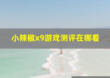 小辣椒x9游戏测评在哪看