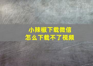 小辣椒下载微信怎么下载不了视频