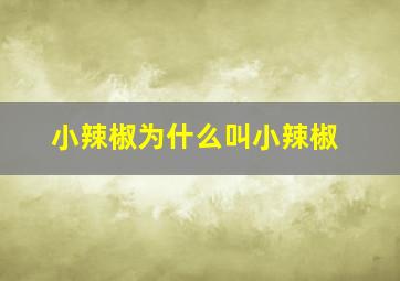 小辣椒为什么叫小辣椒