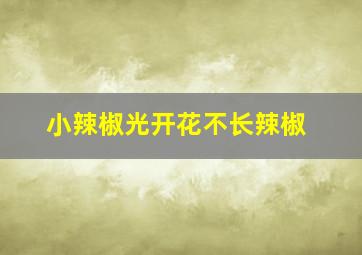 小辣椒光开花不长辣椒