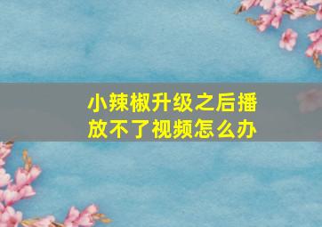 小辣椒升级之后播放不了视频怎么办