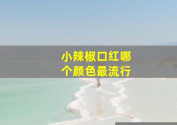 小辣椒口红哪个颜色最流行