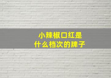 小辣椒口红是什么档次的牌子