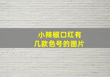 小辣椒口红有几款色号的图片