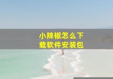 小辣椒怎么下载软件安装包