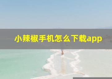 小辣椒手机怎么下载app