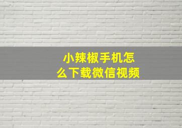 小辣椒手机怎么下载微信视频