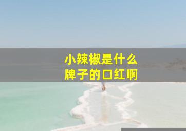 小辣椒是什么牌子的口红啊