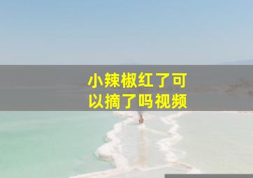 小辣椒红了可以摘了吗视频