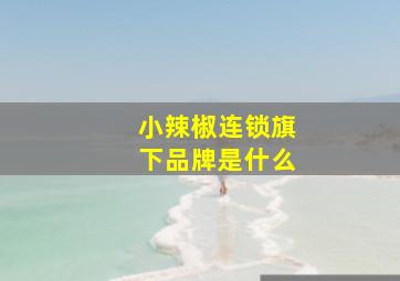 小辣椒连锁旗下品牌是什么