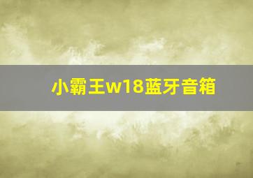 小霸王w18蓝牙音箱