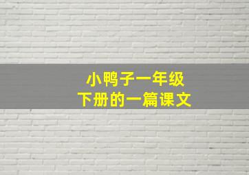 小鸭子一年级下册的一篇课文