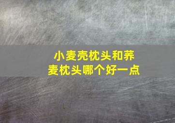 小麦壳枕头和荞麦枕头哪个好一点