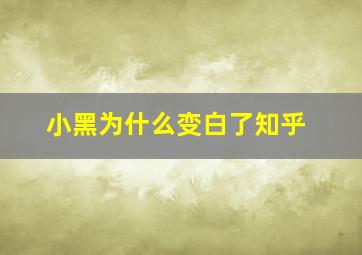 小黑为什么变白了知乎