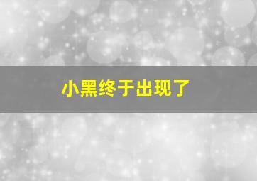 小黑终于出现了