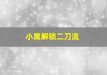 小黑解锁二刀流