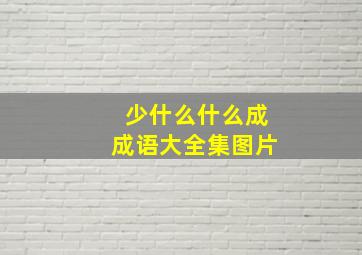 少什么什么成成语大全集图片