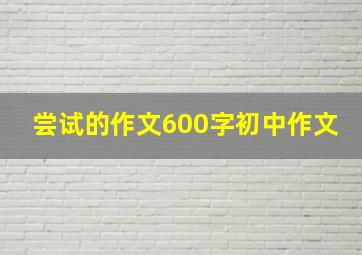 尝试的作文600字初中作文