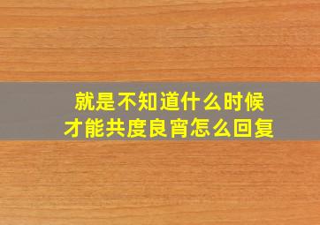 就是不知道什么时候才能共度良宵怎么回复