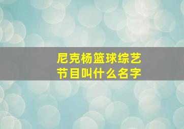 尼克杨篮球综艺节目叫什么名字